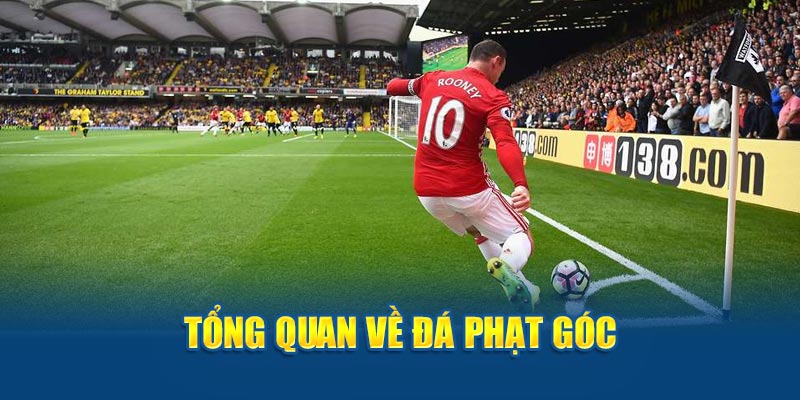 Tổng quan về đá phạt góc